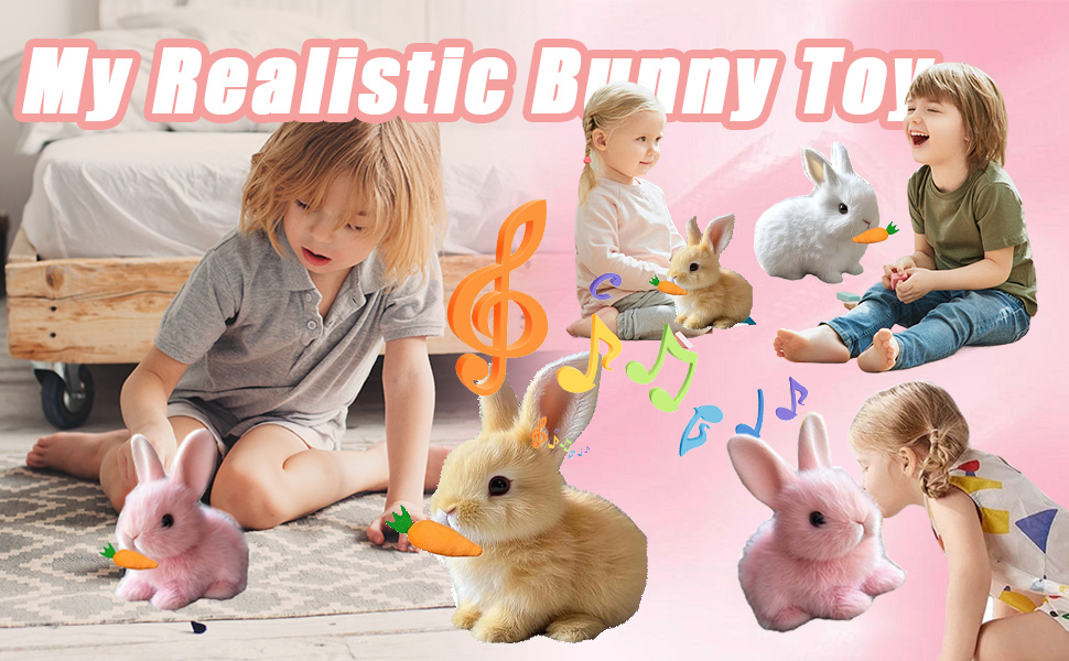 petsboro bunny review