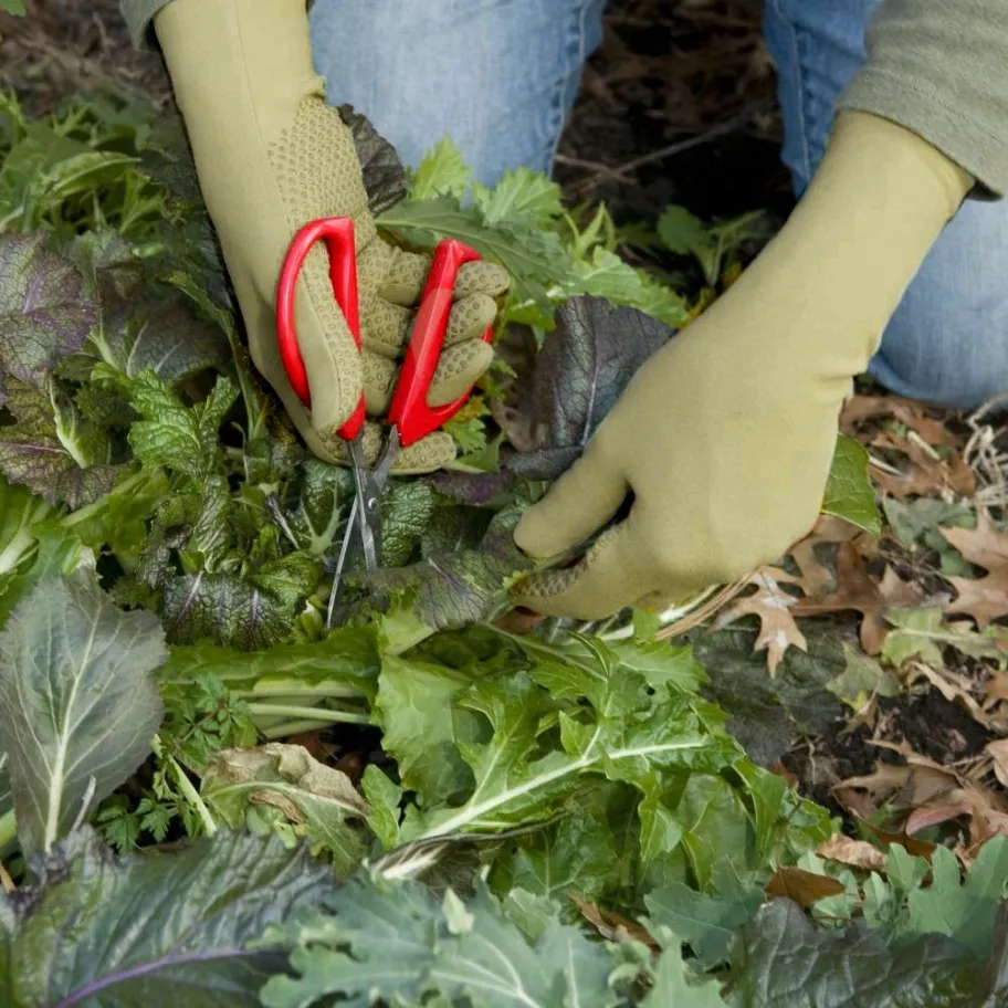 foxgloves gardening gloves reviews