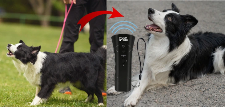 hushbark pet trainer reviews