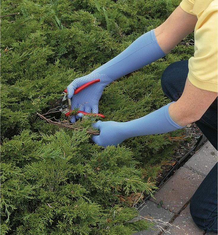 foxgloves gardening gloves reviews