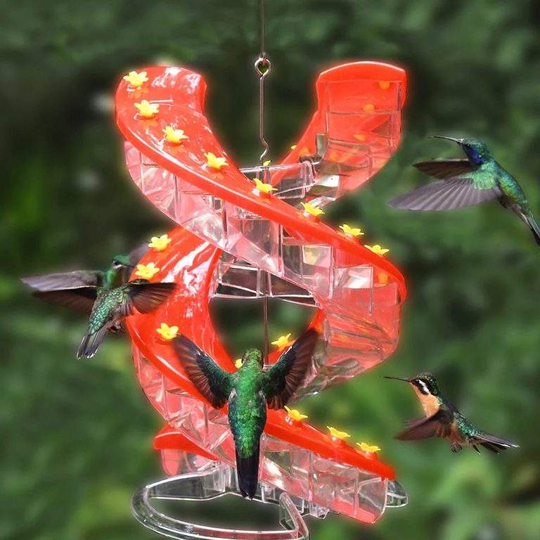 dna helix bird feeder reviews