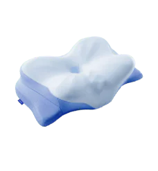 Derila ERGO Memory Foam Pillow