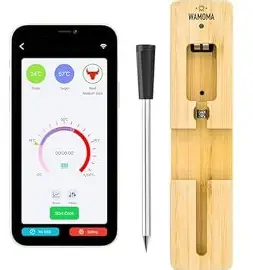wamoma smart thermometer reviews