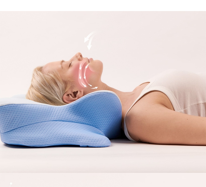Memory Foam Pillow  