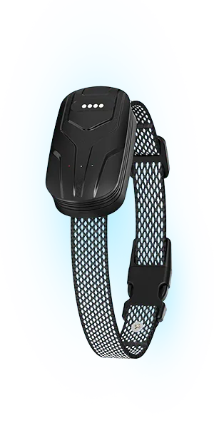 furfence dog collar reviews