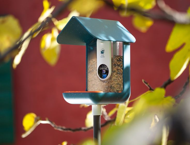 Birdoworld FeatherEye Pro reviews 4