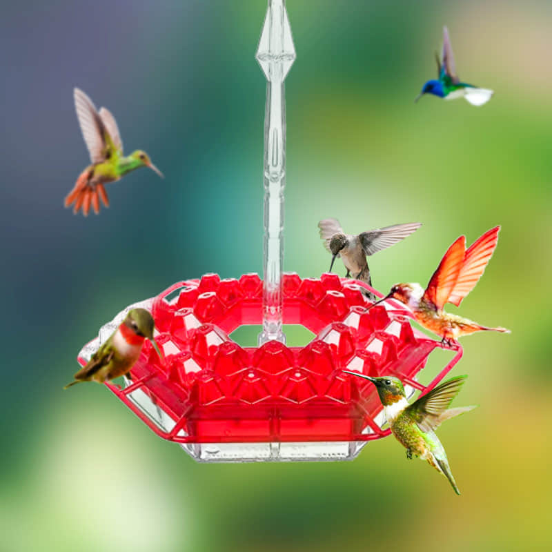 Birdyl Hummingbird Feeder reviews 2