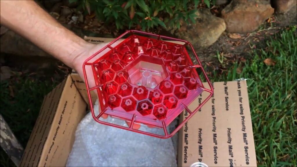 Birdyl Hummingbird Feeder reviews 3