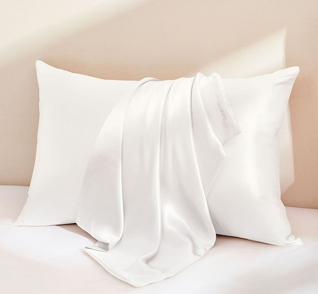 Lumiere Silk Pillow Case Reviews1