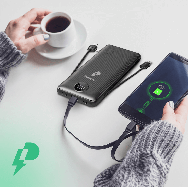 Power Pal Power Banks Reviews4