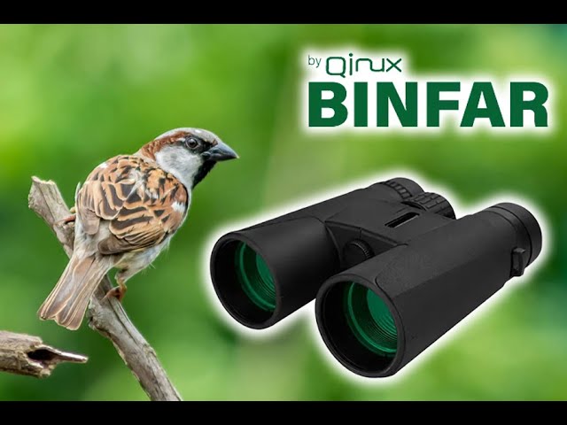 Qinux Binfar Reviews