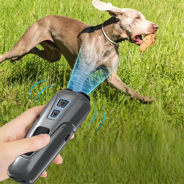 Barkiverse Reviews