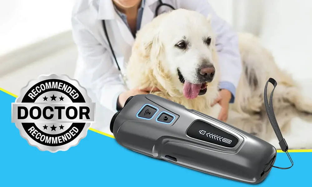 Barkiverse Reviews