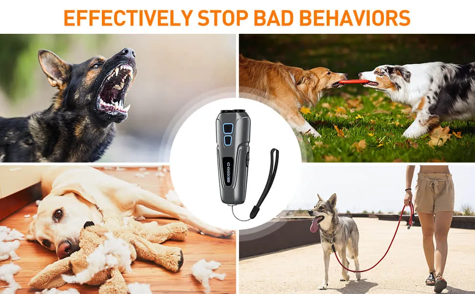 Barkiverse Reviews4