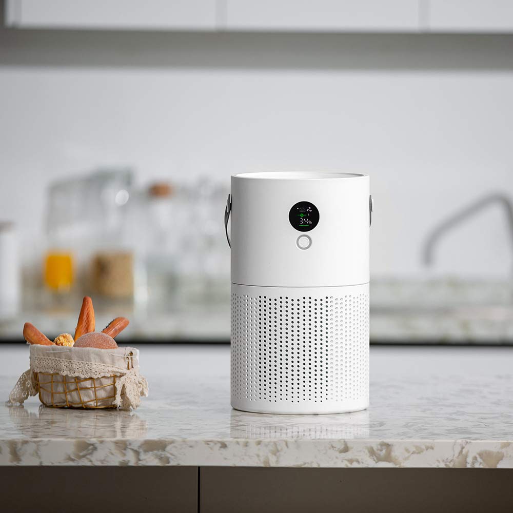Freshia Air Purifier Reviews