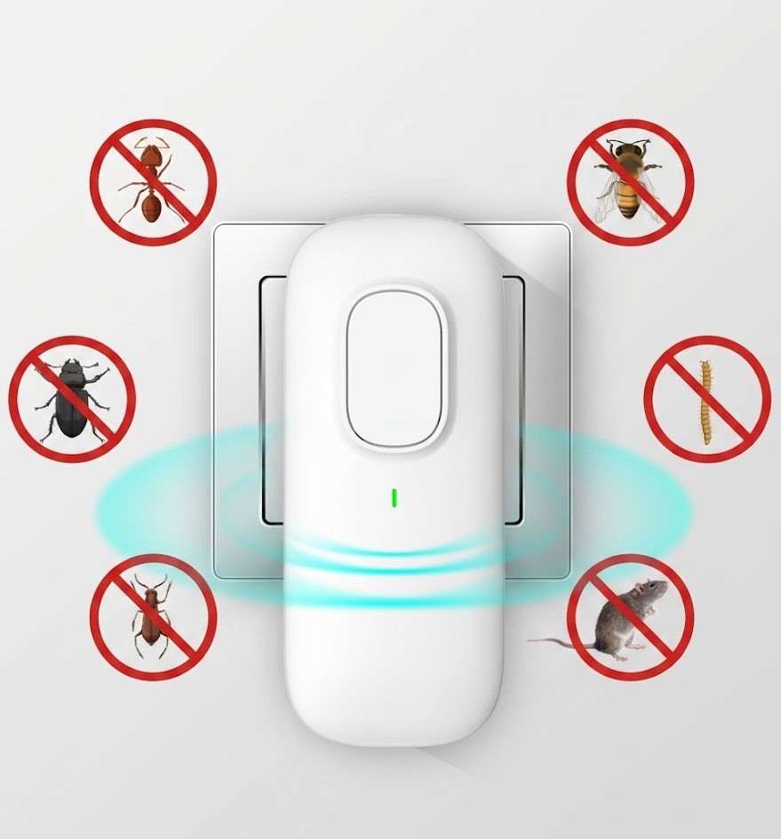 InsecTraps Reviews
