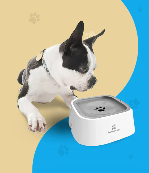 Pawstruck Anti Spill Pet Bowl Reviews