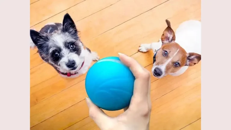 PeppyPetBall Reviews