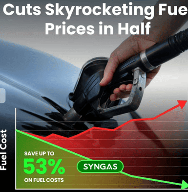 SynGas OBD Fuel Saver Reviews