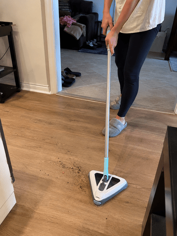 Zippi Sweeper Reviews