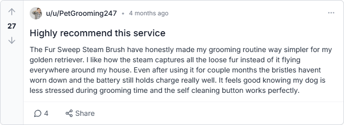 Fur Sweep Steam Brush Reviews