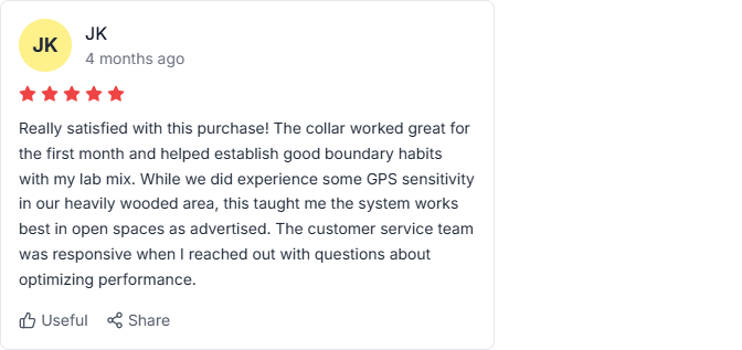trustpilot review