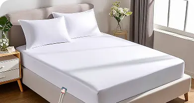 Bed Bunny Reviews
