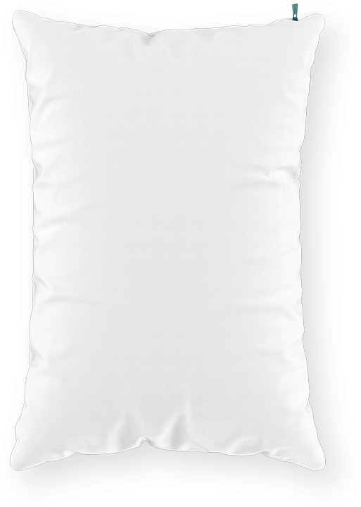 Sleepgram Luxury Pillows Reviews
