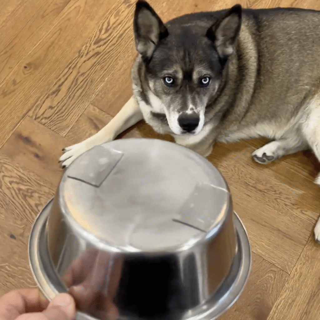SuperToughTape Reviews