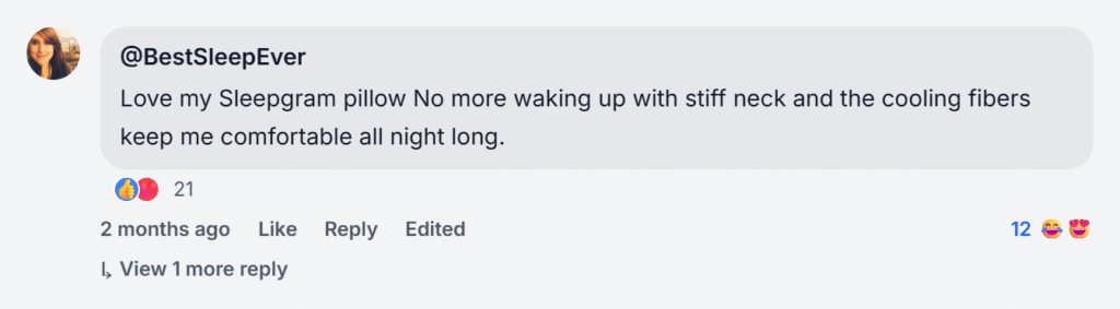 Sleepgram Luxury Pillows Reviews