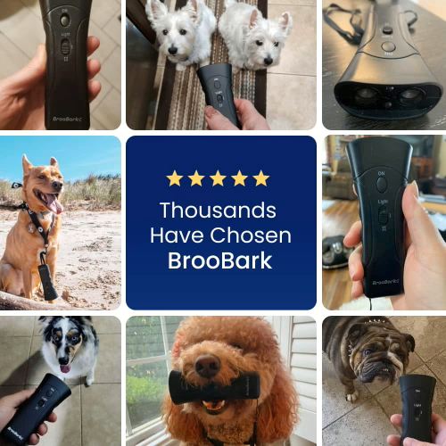 BrooBark Reviews