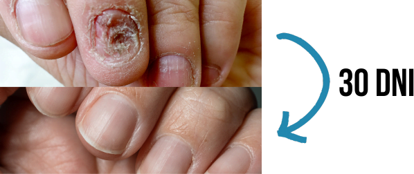 Armour Spray Reviews2