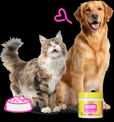 Koby Dog and Cat Probiotics Reviews