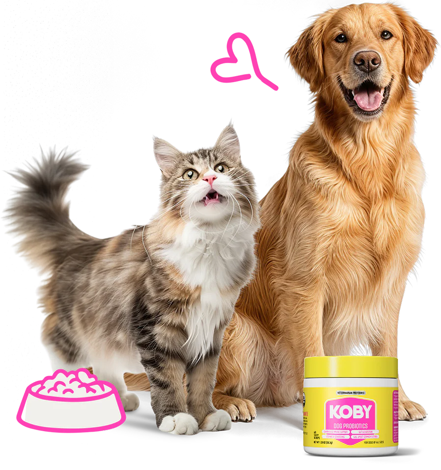 Koby Dog and Cat Probiotics Reviews