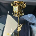 One Golden Rose Reviews3