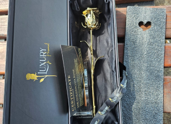 One Golden Rose Reviews4