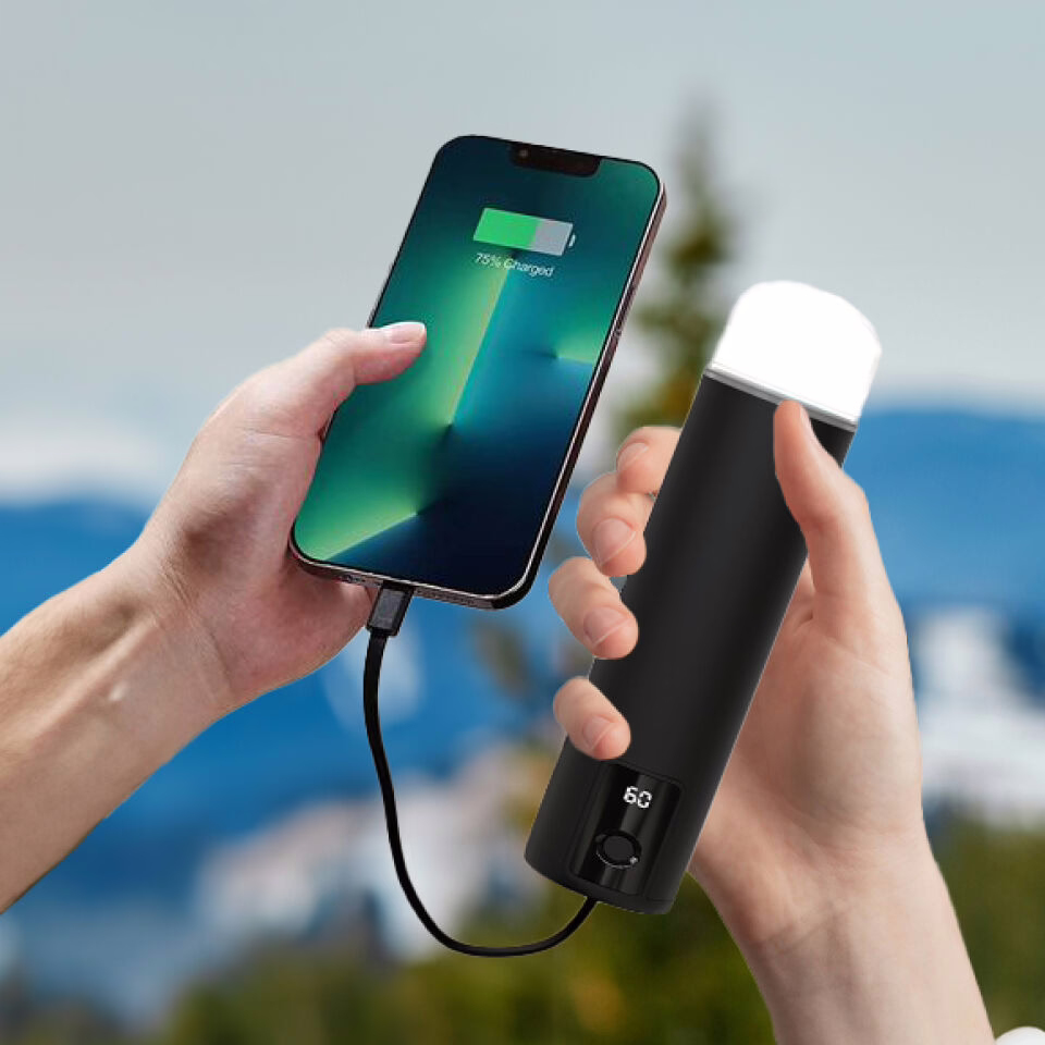 WellaHeat Hand Warmer Reviews