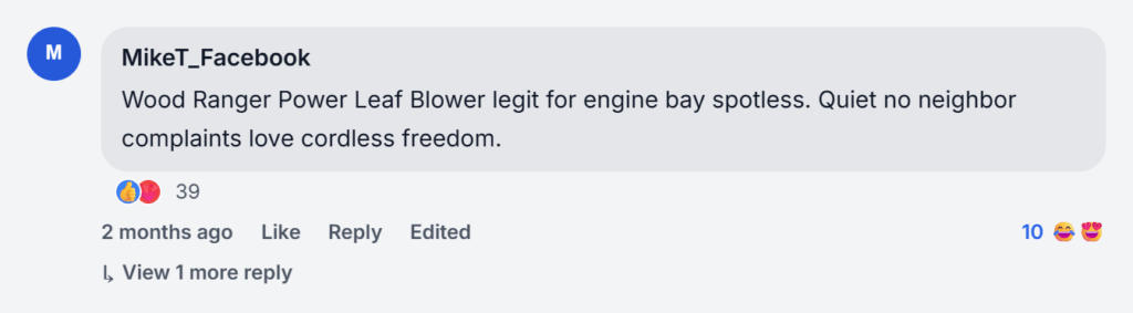 Wood Ranger Leaf Blower Reviews