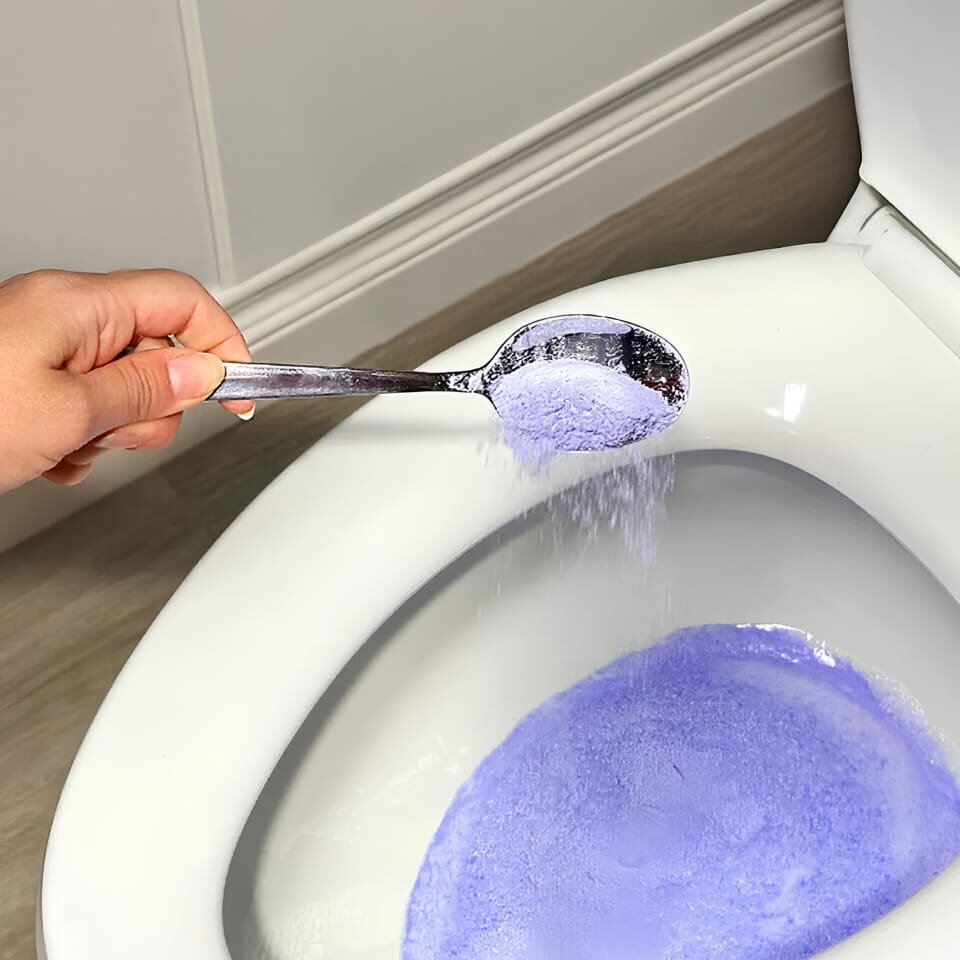 FizzClean Toilet Cleaning Foam Reviews