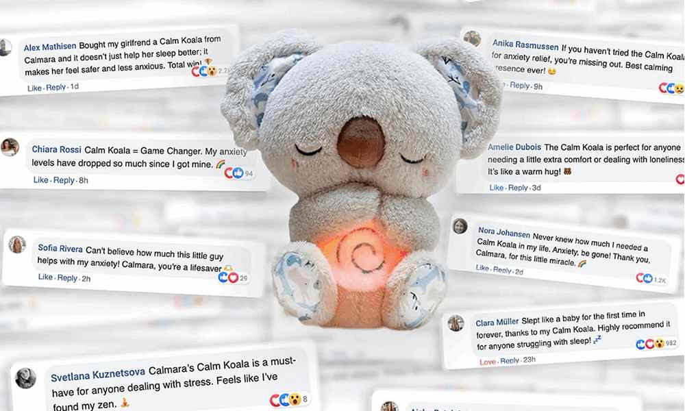 Froplay Koala Calm Buddy Reviews