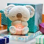 Froplay Koala Calm Buddy Reviews4
