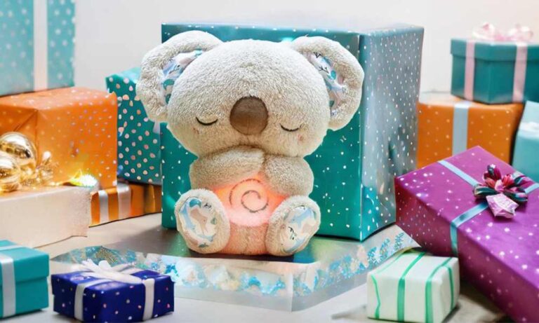 Froplay Koala Calm Buddy Reviews4