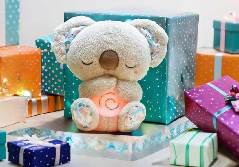 Froplay Koala Calm Buddy Reviews4