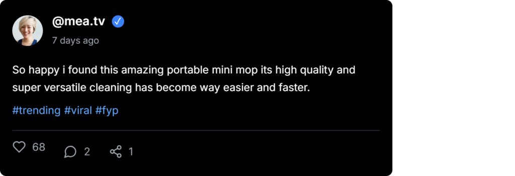 Mini Mighty Mop Reviews 