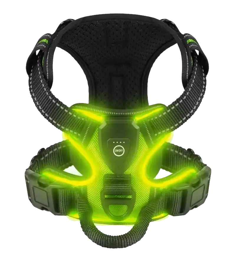 RadPaws LED Harness Reviews