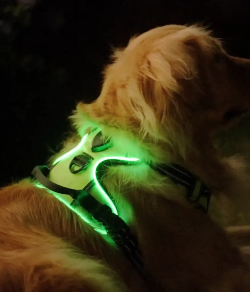 RadPaws LED Harness Reviews