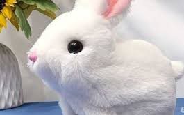 Hoppsy Robot Bunny Reviews 