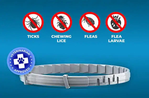 Barxbuddy BiteShield Collar Reviews 2