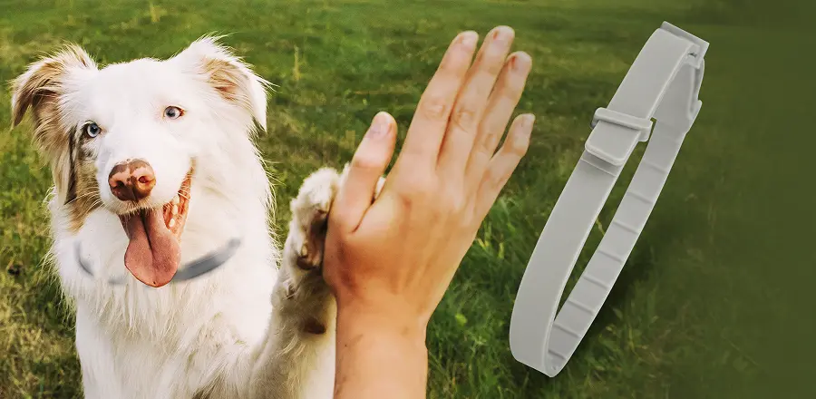 Barxbuddy BiteShield Collar Reviews 4