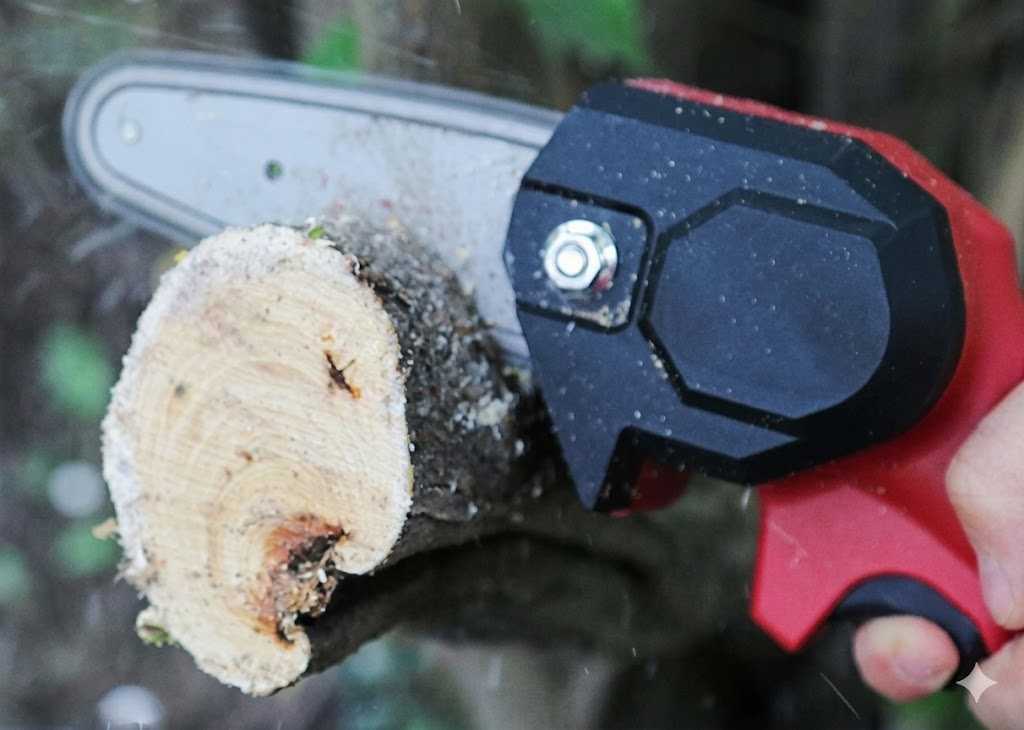 Wood Ranger Mini Chainsaw Reviews 2